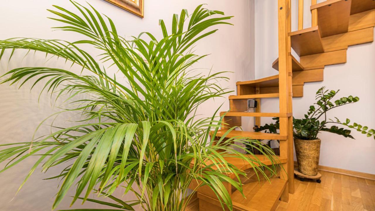 Maya'S Flats & Resorts - Old Town Dluga 72 Maisonette Γκντανσκ Εξωτερικό φωτογραφία